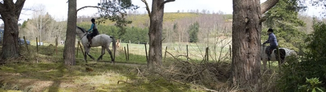 Riding on the Estate